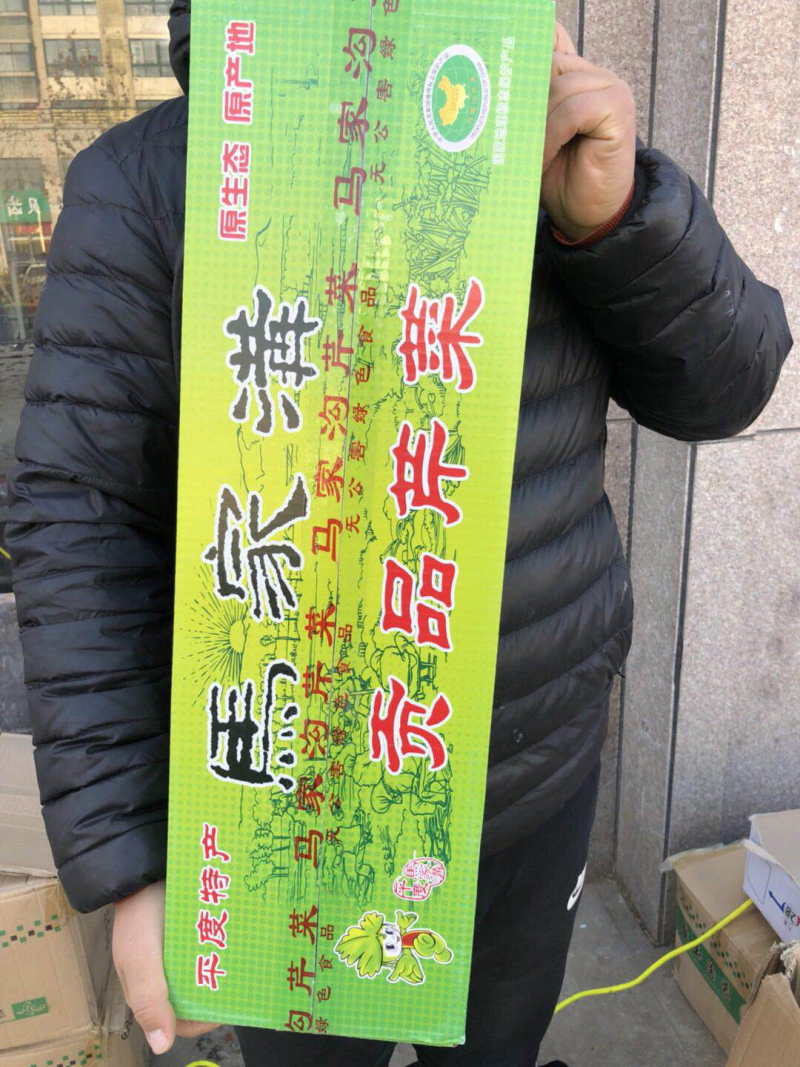 山东马家沟芹菜