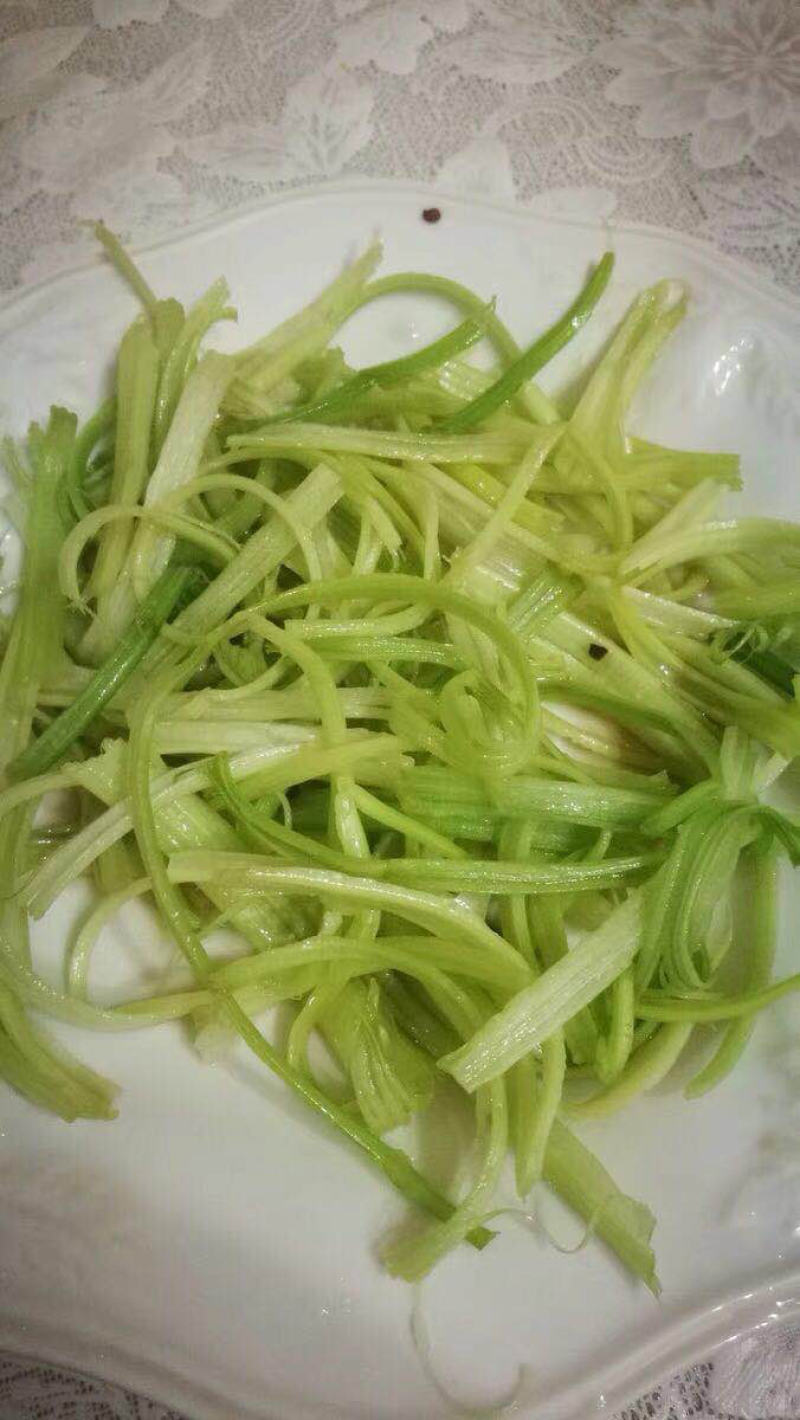 山东马家沟芹菜