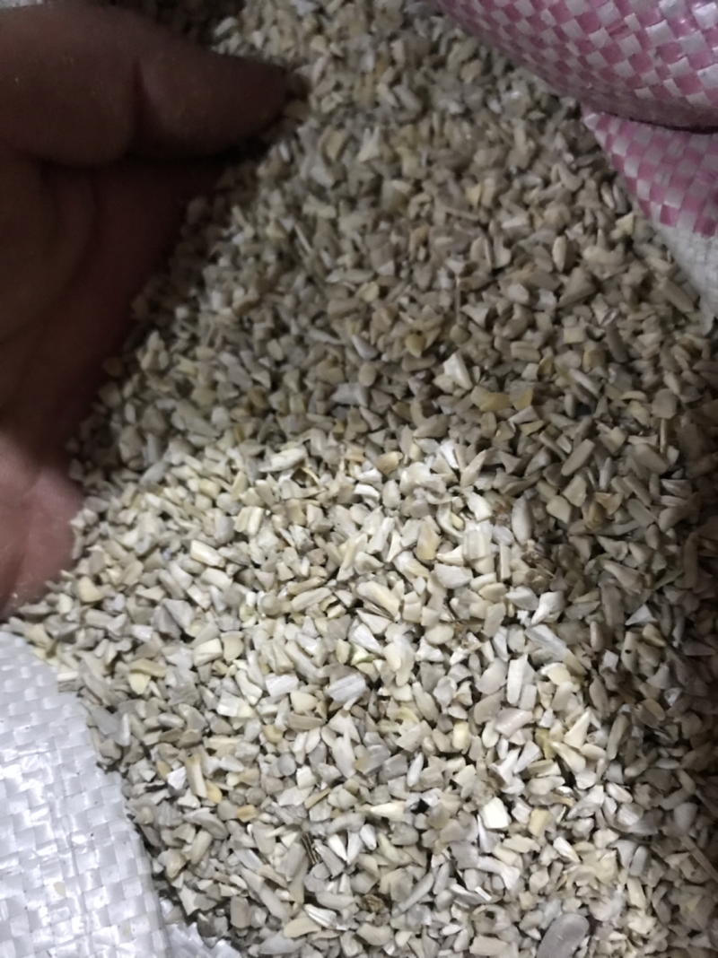 瓜子仁碎料