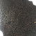 桑椹25/公斤药用桑椹