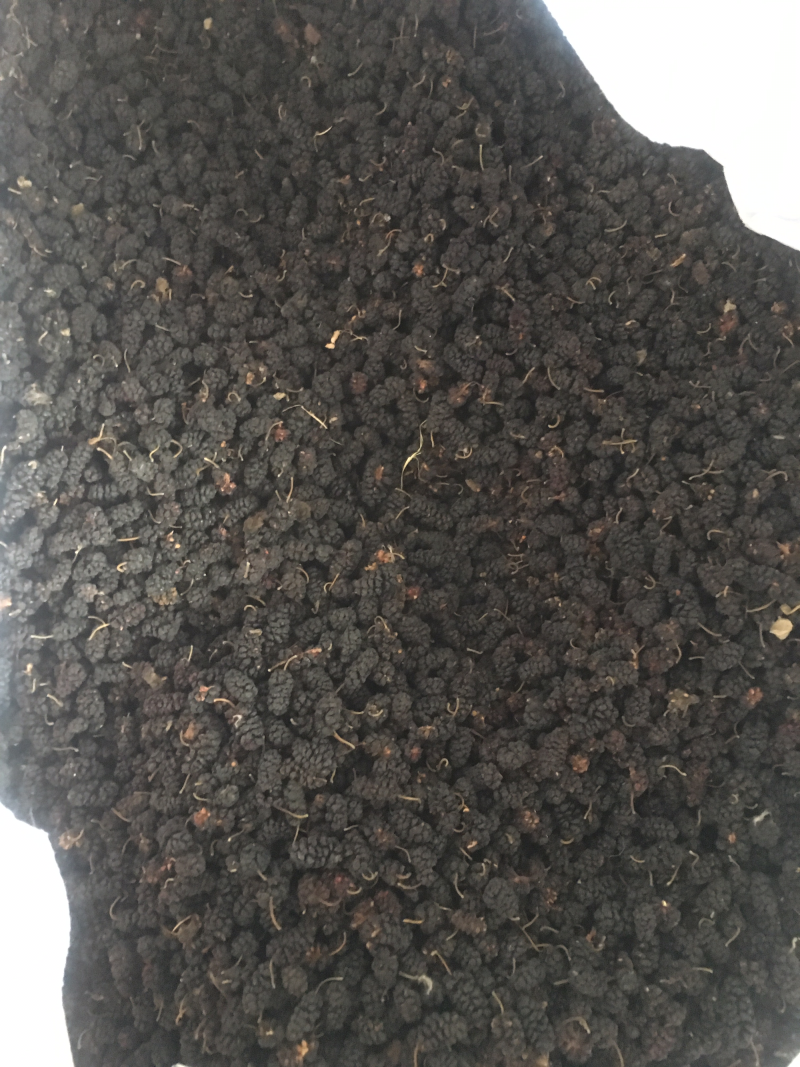 桑椹25/公斤药用桑椹