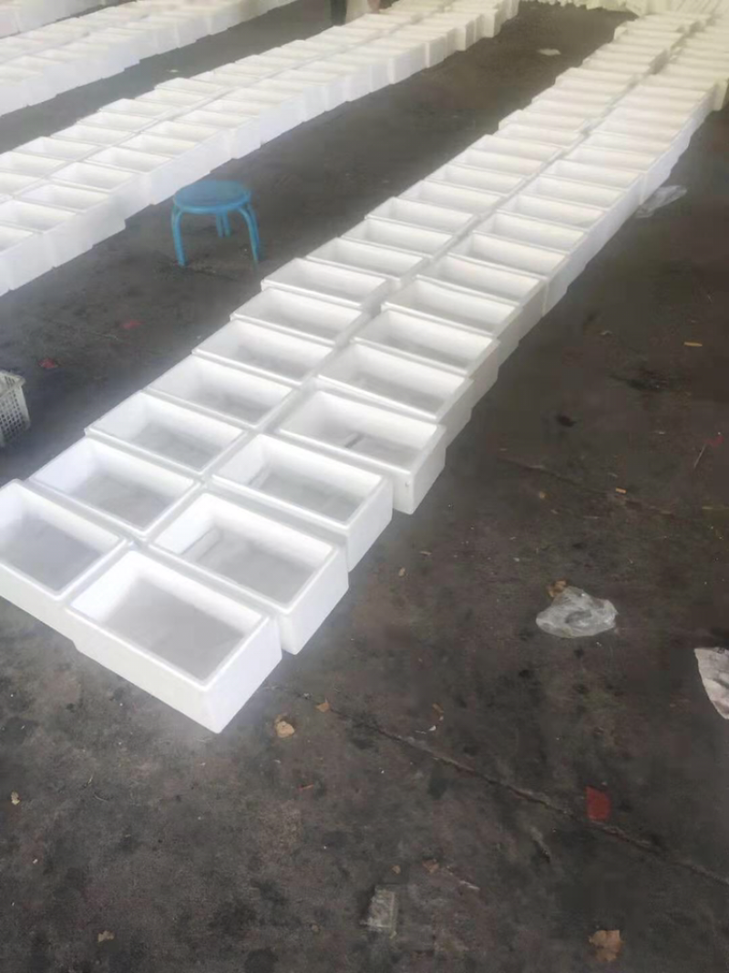桑葚代办可发鲜果可入库打冷