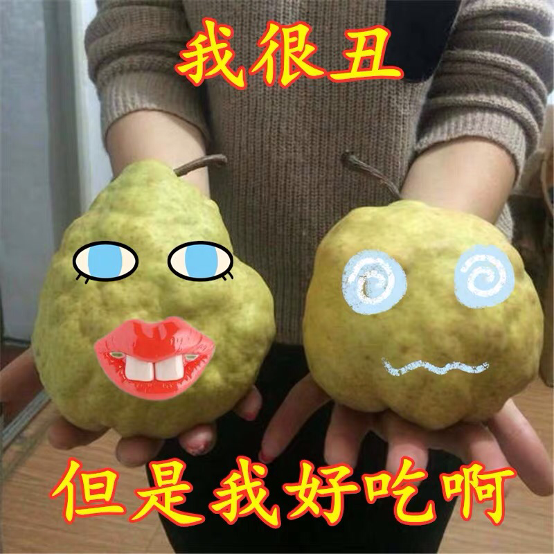 丑梨苗嫁接梨树苗水果苗梨树苗南方北方种植庭院盆栽
