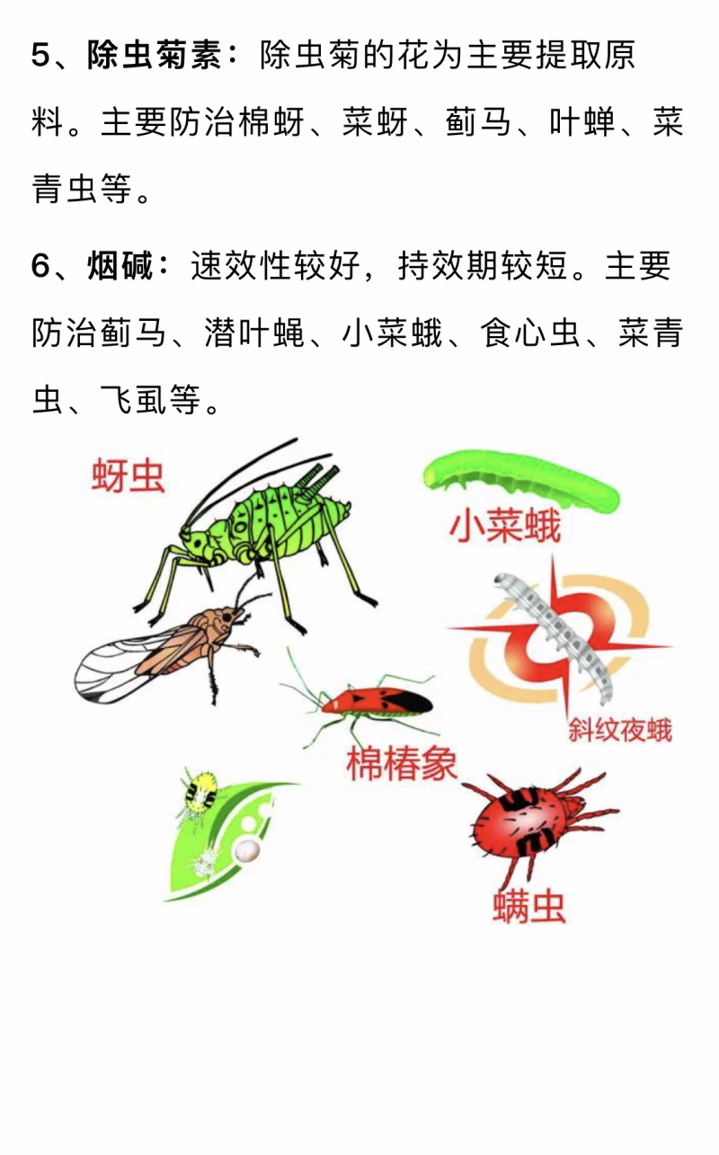 苦皮藤混合生物抗病防虫剂