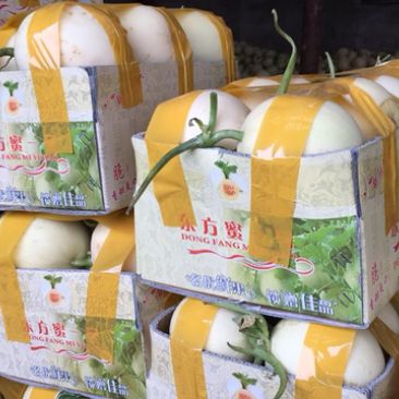 白香瓜玉菇