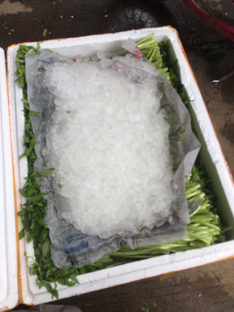 泥蒿，常年四季供应，随行就市，质量保证，