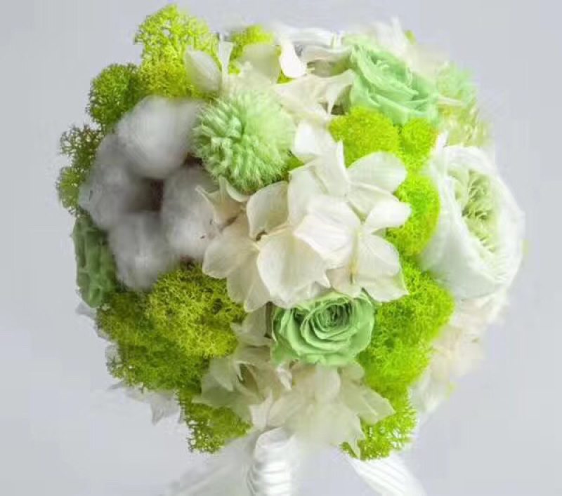 永生苔藓、鹿蕊藓、永生花花材、优质DIY500g装