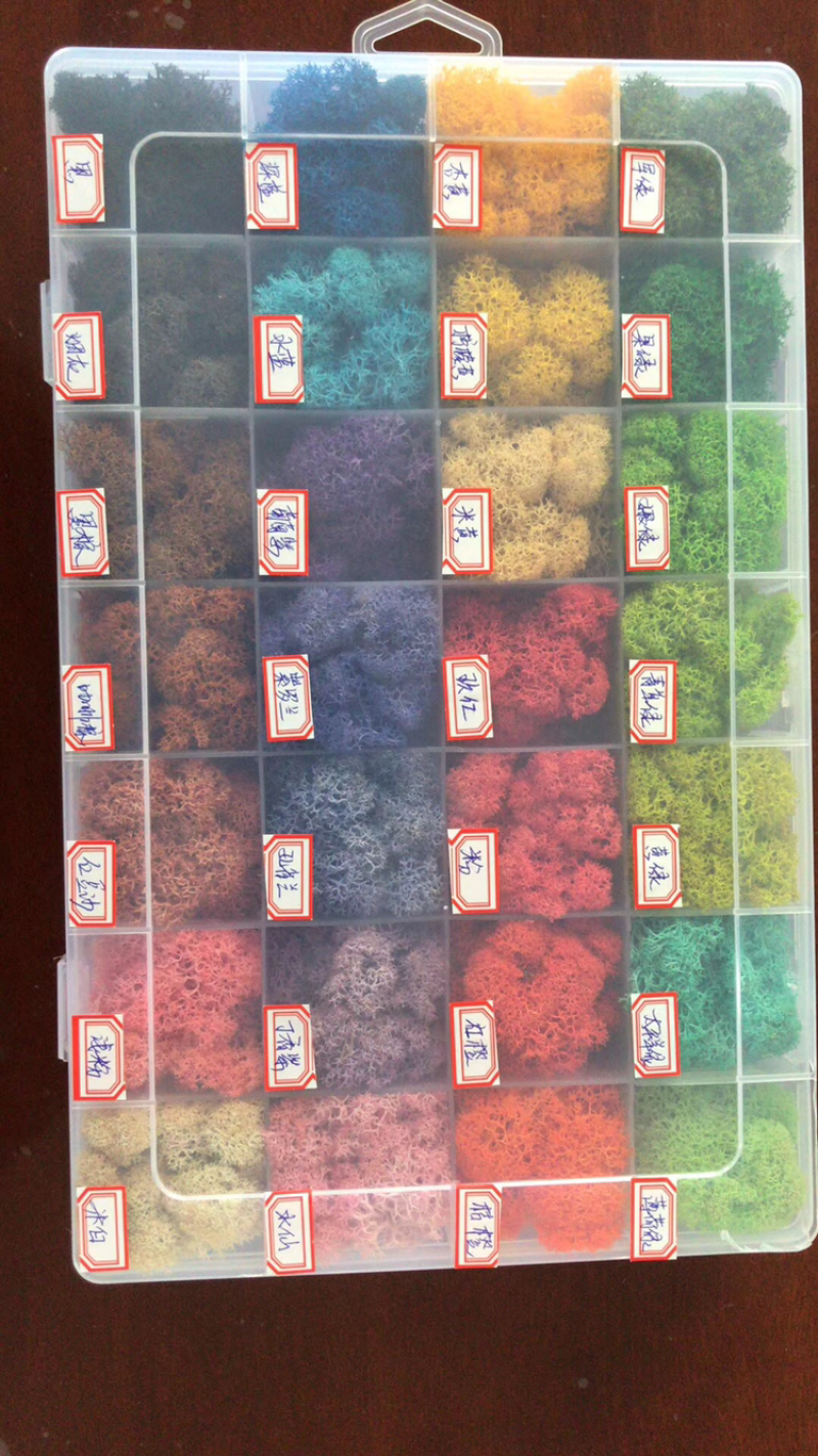 永生苔藓、鹿蕊藓、永生花花材、优质DIY500g装