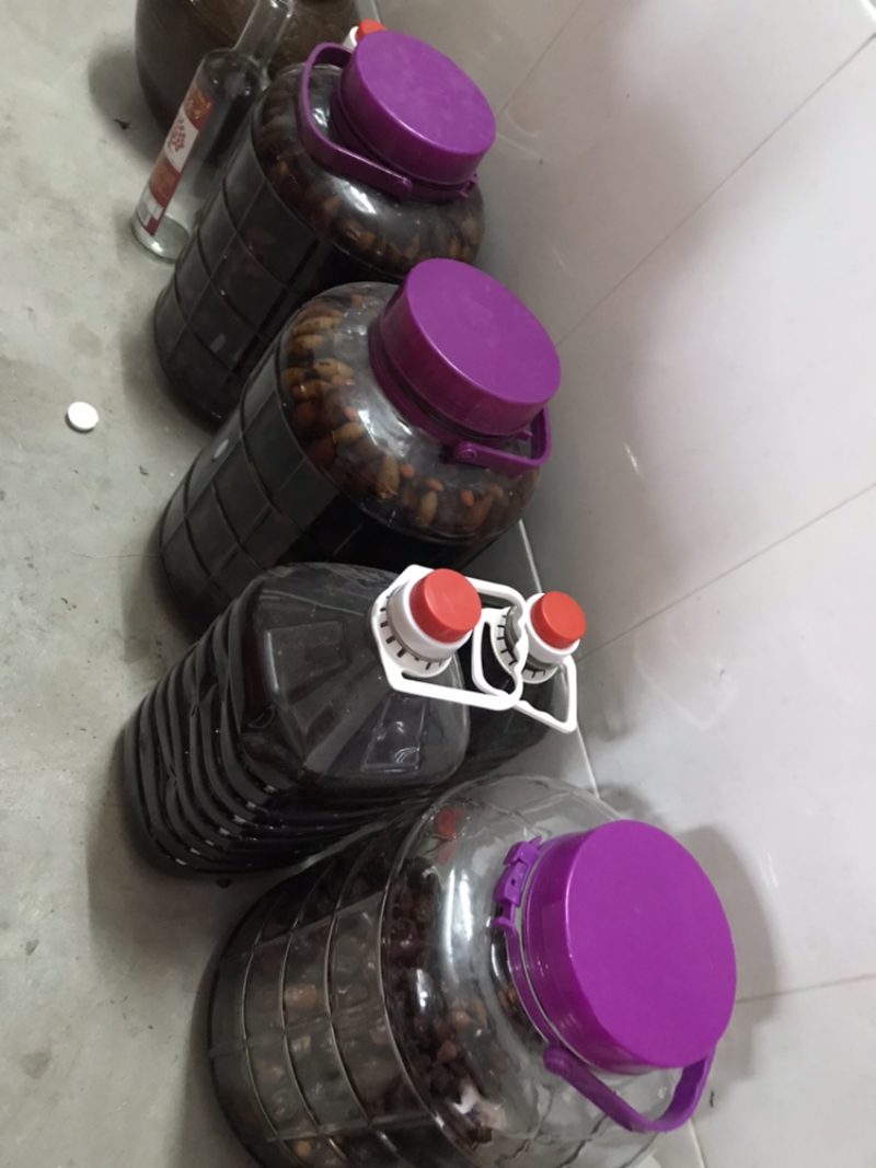 农家自制金樱子酒