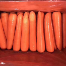 专业加工出口胡萝卜，物美价廉，有需要的联系我！