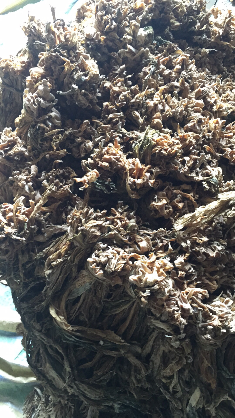 盐菜