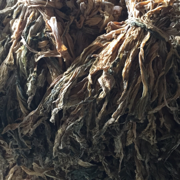 盐菜