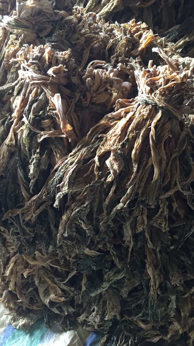 盐菜