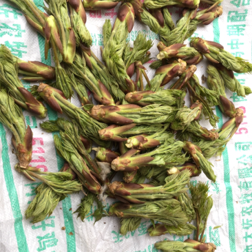 鲜刺嫩芽