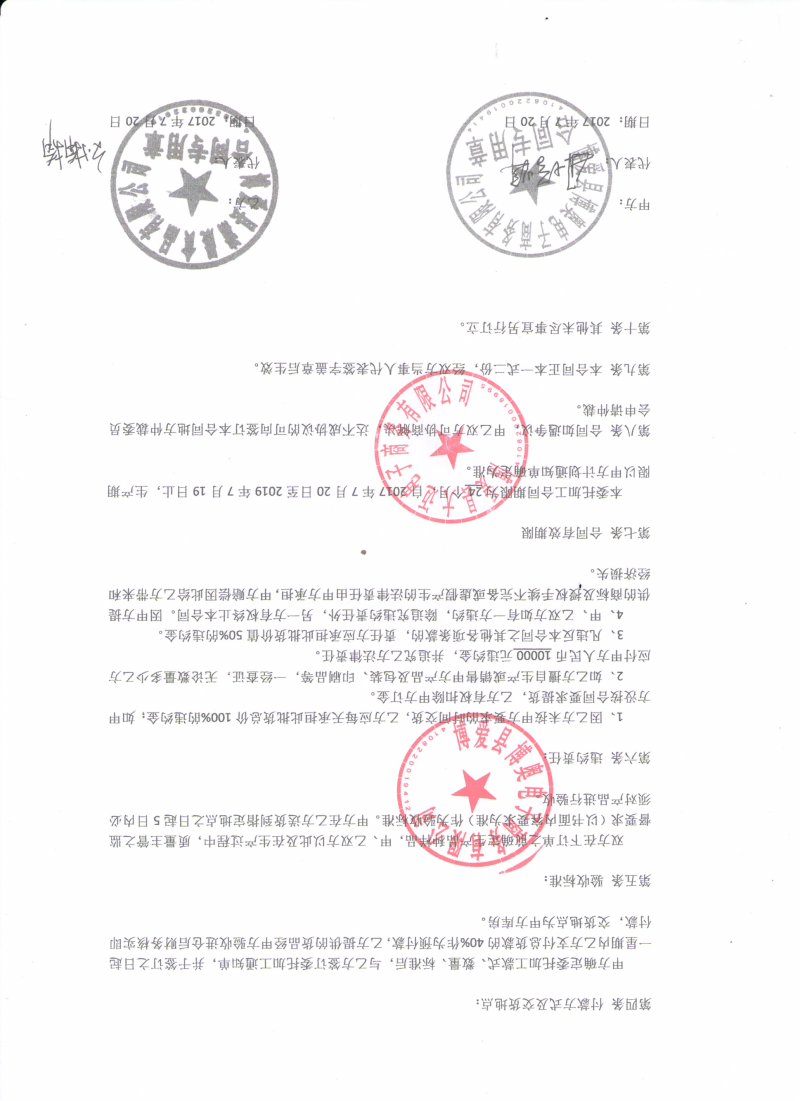 天赐冰菊，菊花茶，一朵一杯25克装批发