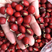 鄂西红豆种子花梨木种子红豆树种子鄂西红豆新货