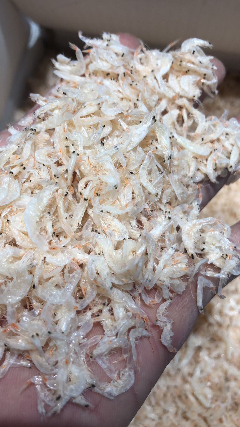 虾皮·优质淡干健康纯淡无盐虾皮
