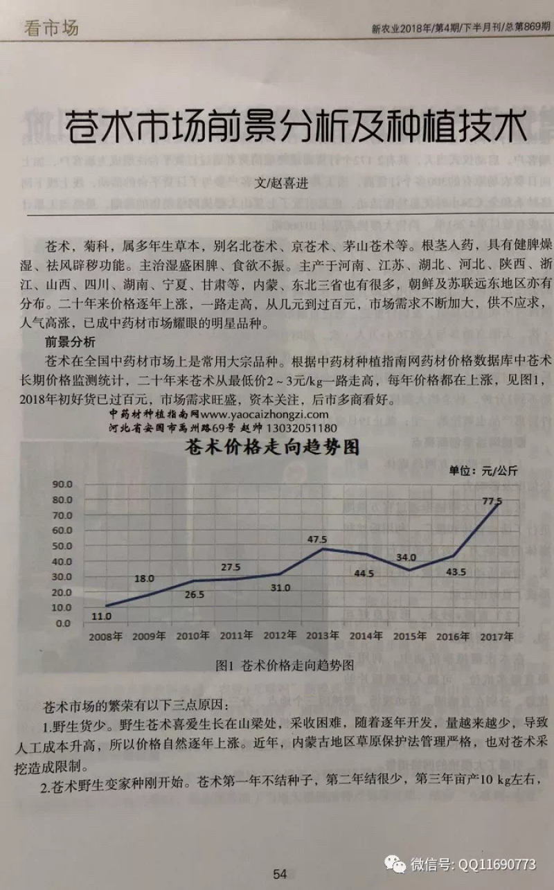 防风种子新种子