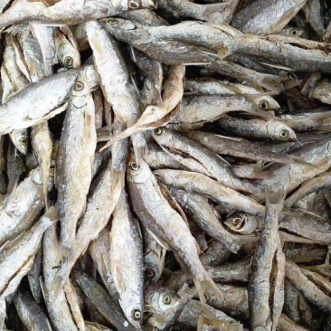 万绿湖鱼干炸鱼干餐厅专用