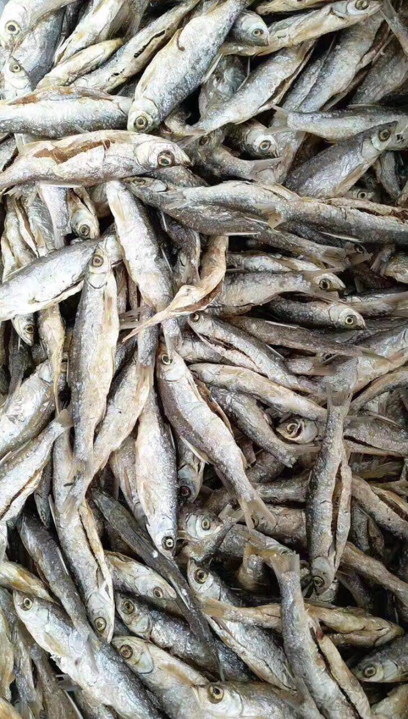 万绿湖鱼干炸鱼干餐厅专用