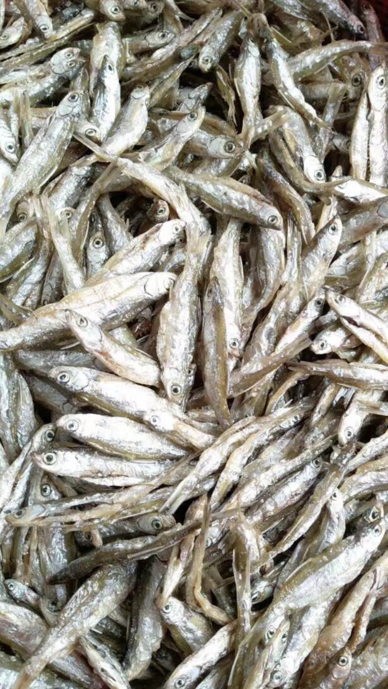 万绿湖鱼干炸鱼干餐厅专用