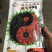 盛丰998高产矮大头油葵种子，抗倒耐盐碱出油率高抗病强