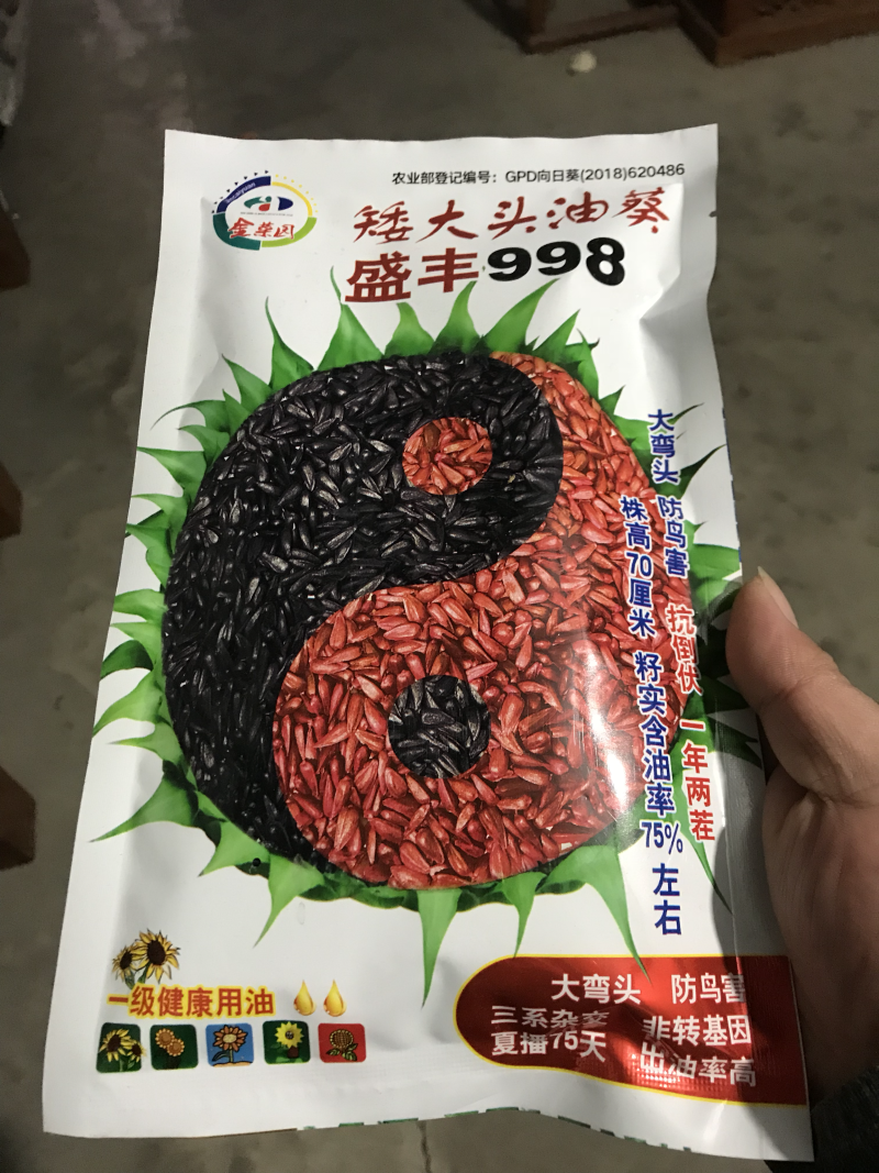 盛丰998高产矮大头油葵种子，抗倒耐盐碱出油率高抗病强