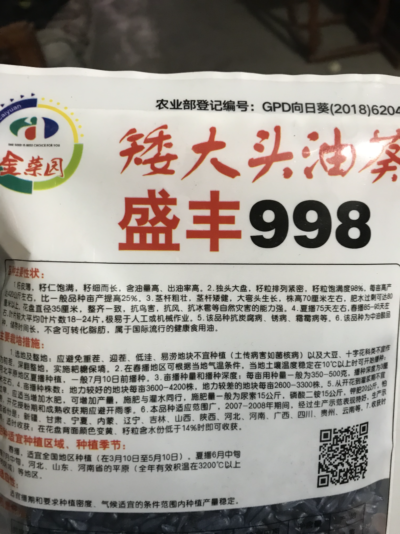 盛丰998高产矮大头油葵种子，抗倒耐盐碱出油率高抗病强