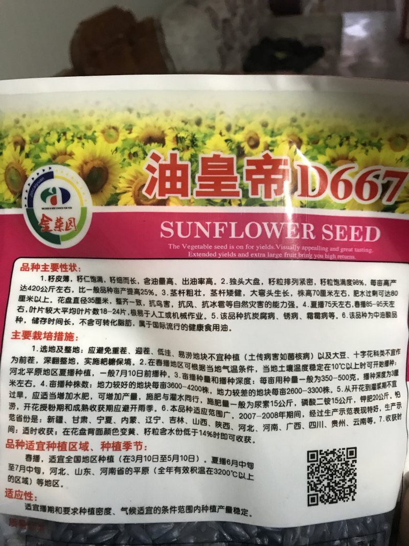 油皇帝DW667杂交高产矮大头油葵种子抗病抗倒伏