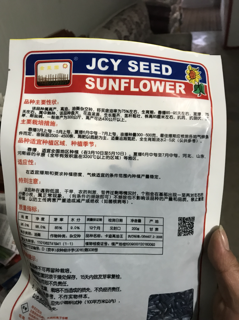 纯正美国进口超级矮大头油葵种子向日葵种子高产抗病抗倒抗旱