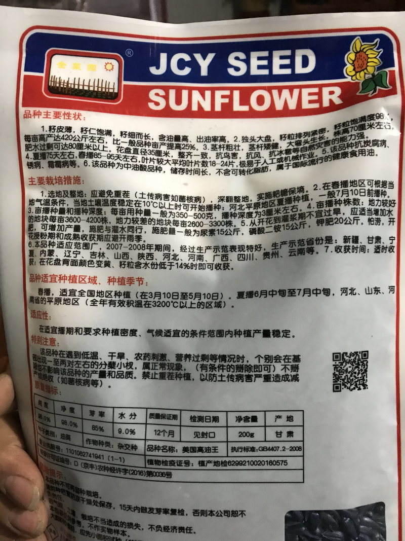 美国高油王矮大头油葵种子高产抗病抗倒伏抗鸟害新品种