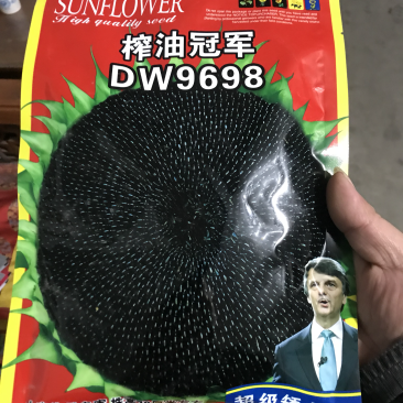 高产油葵种子榨油冠军油用向日葵种子抗病抗倒伏亩产800斤