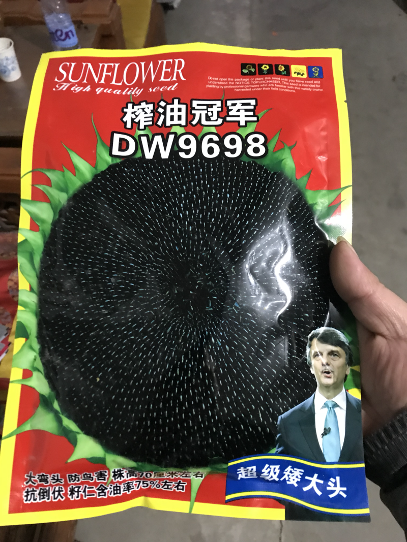 高产油葵种子榨油冠军油用向日葵种子抗病抗倒伏亩产800斤