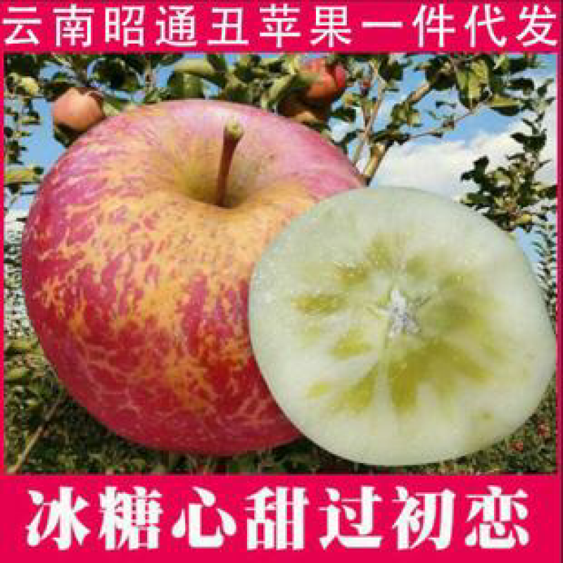 昭通丑苹果