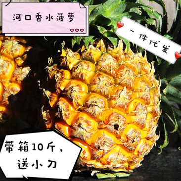 云南香水菠萝10斤整箱甜脆当季新鲜水果包邮带箱小菠萝