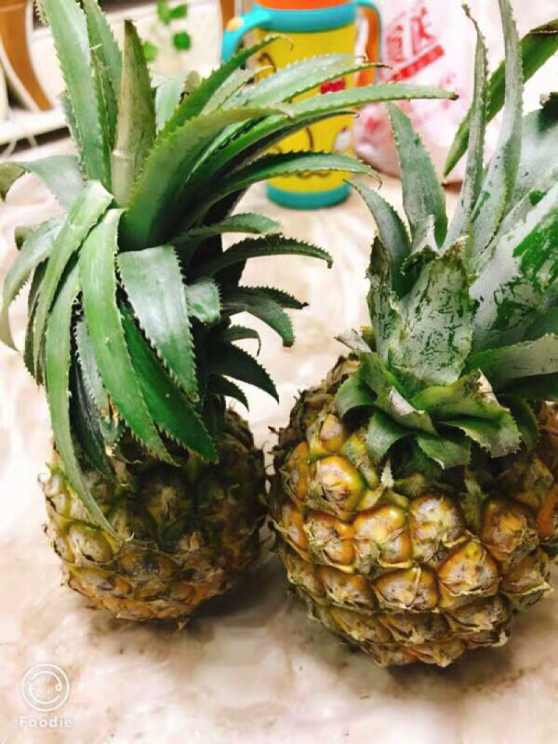 云南香水菠萝10斤整箱甜脆当季新鲜水果包邮带箱小菠萝
