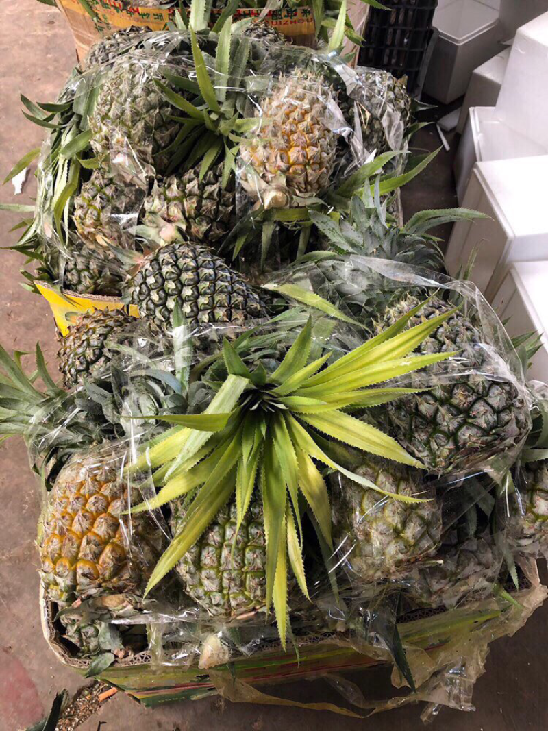 云南香水菠萝10斤整箱甜脆当季新鲜水果包邮带箱小菠萝