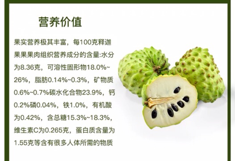 释迦果树苗释迦果苗嫁接凤梨释迦果苗