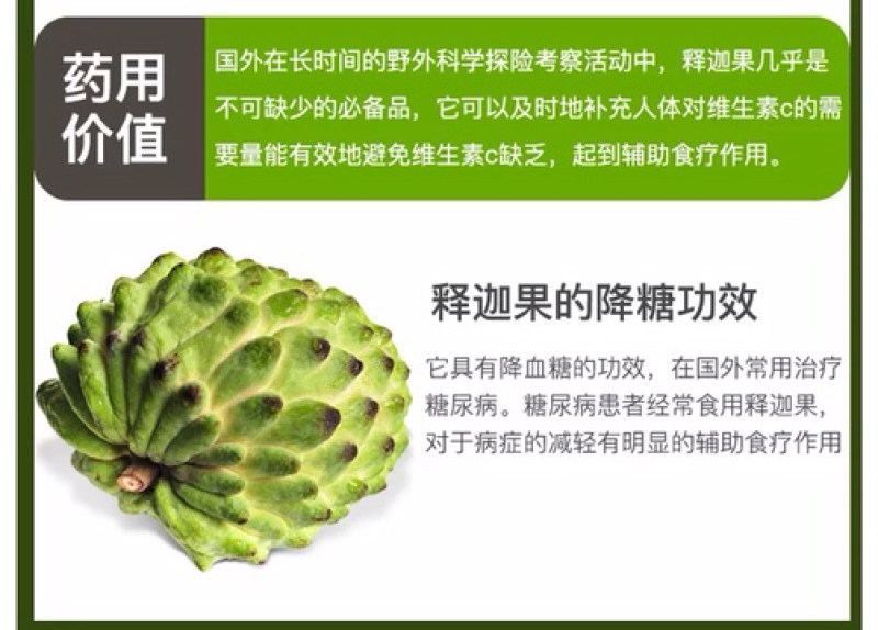 释迦果树苗释迦果苗嫁接凤梨释迦果苗