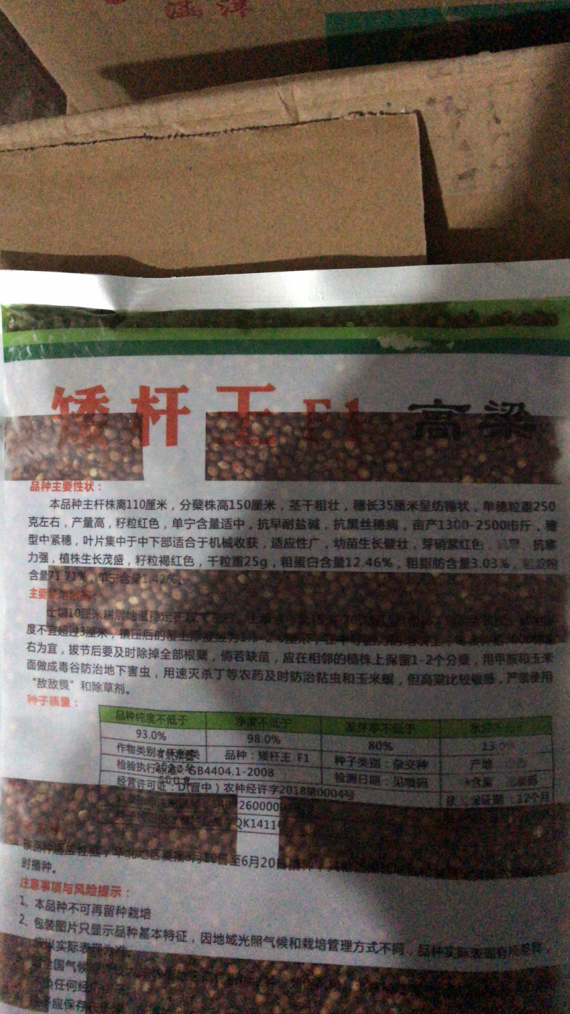 抗鸟高产矮杆王杂交酿酒高粱种子株高1.2米矮杆大穗抗病