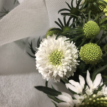 松虫草