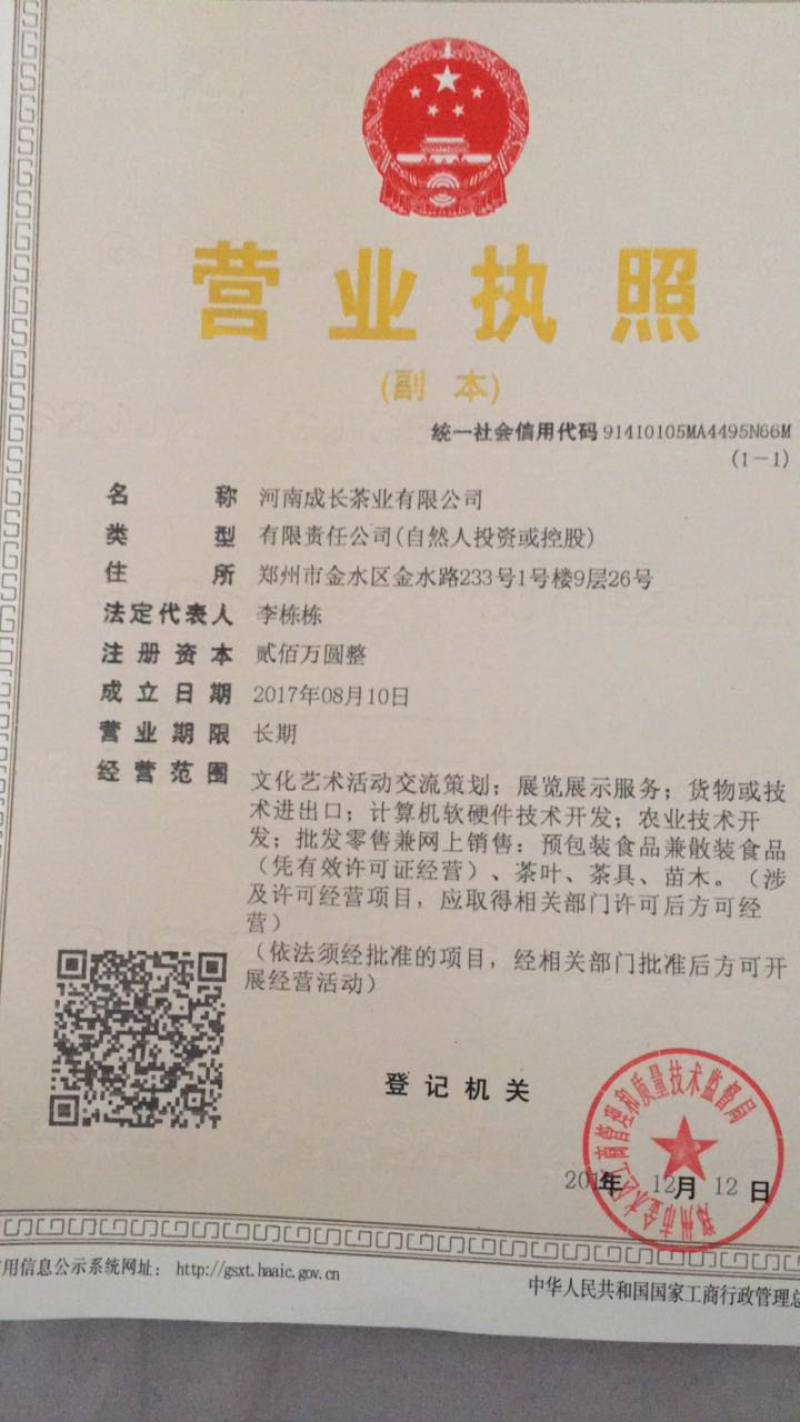 漂亮的婺源皇菊茶