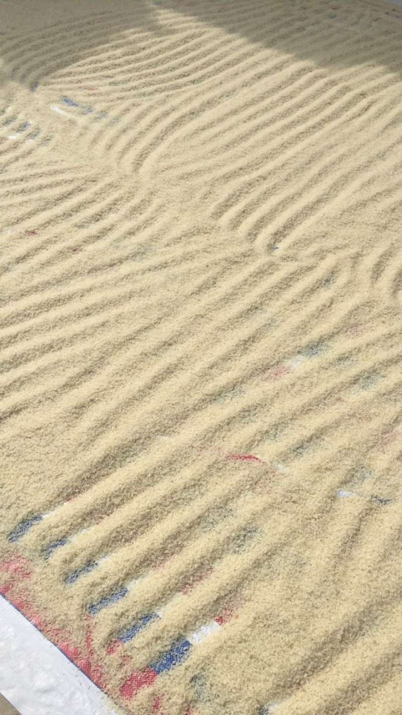 阴米