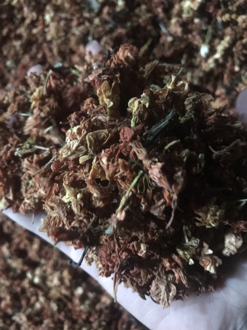 罗汉果花