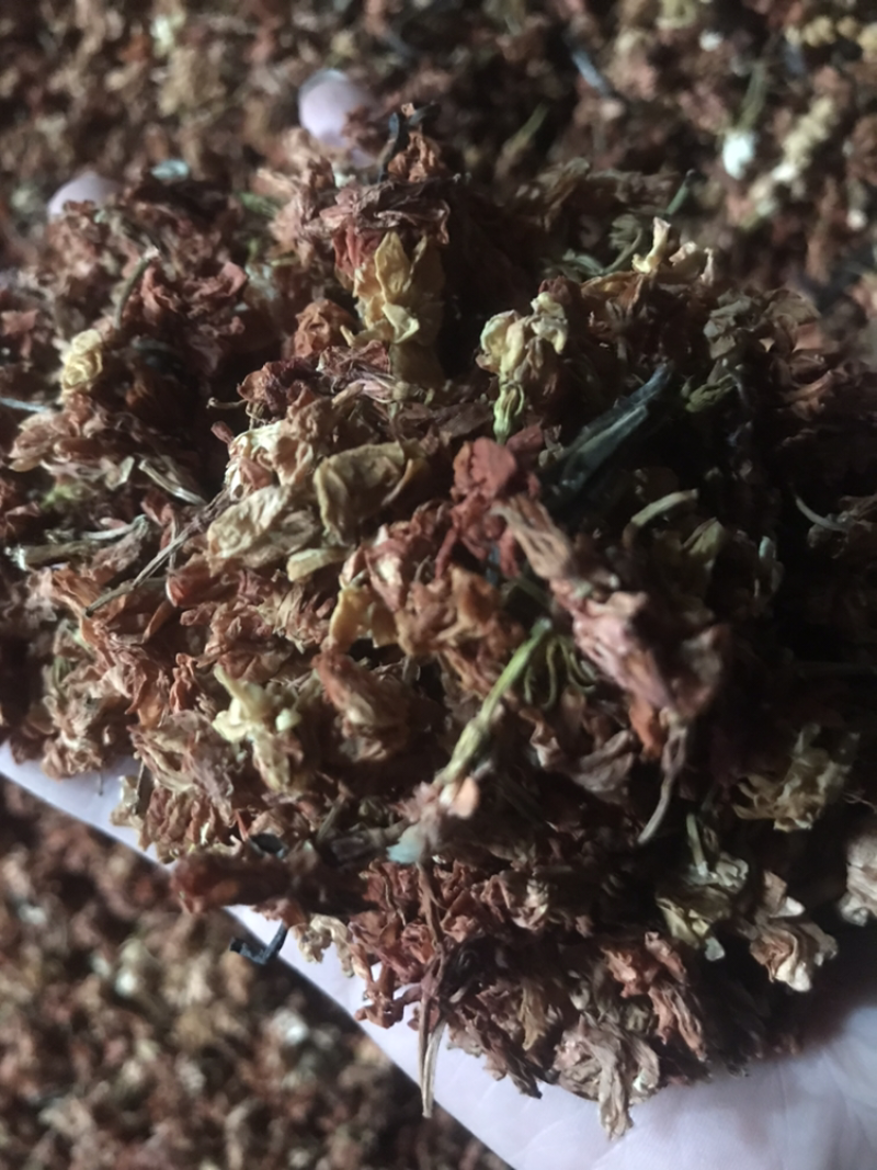 罗汉果花