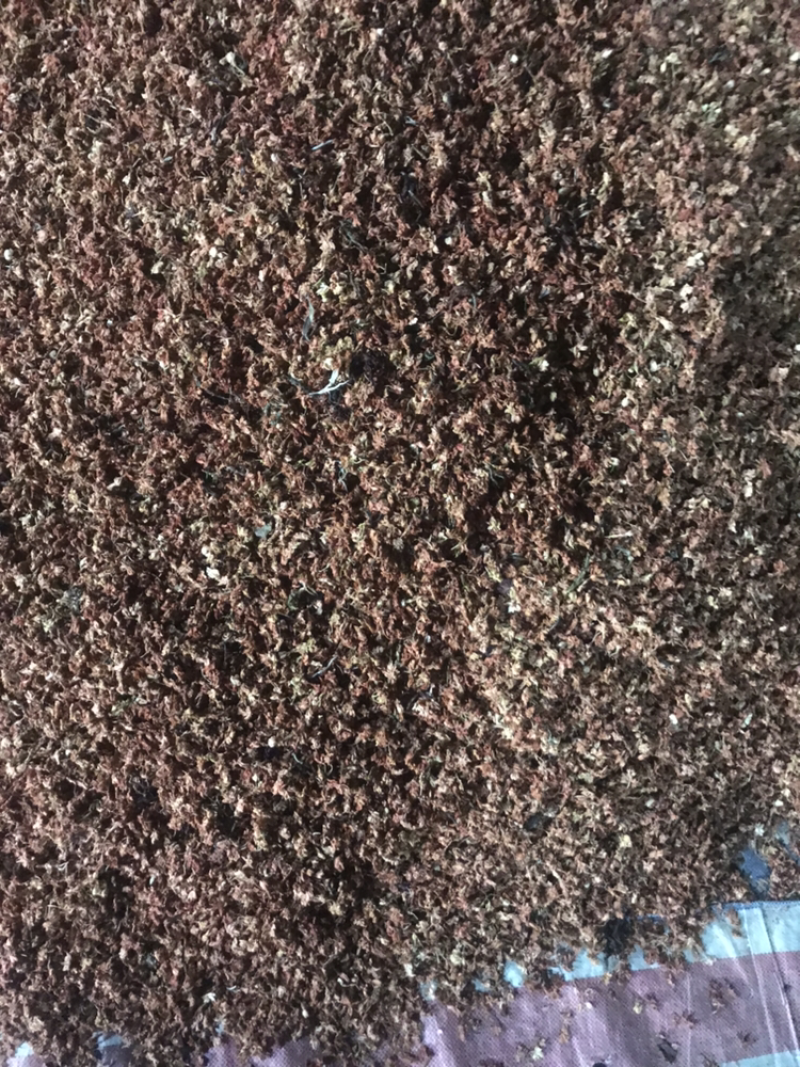 罗汉果花