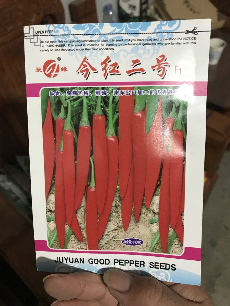 香辣小羊角高产辣椒种子金塔美人指辣椒，剁椒辣椒酱出口泡椒