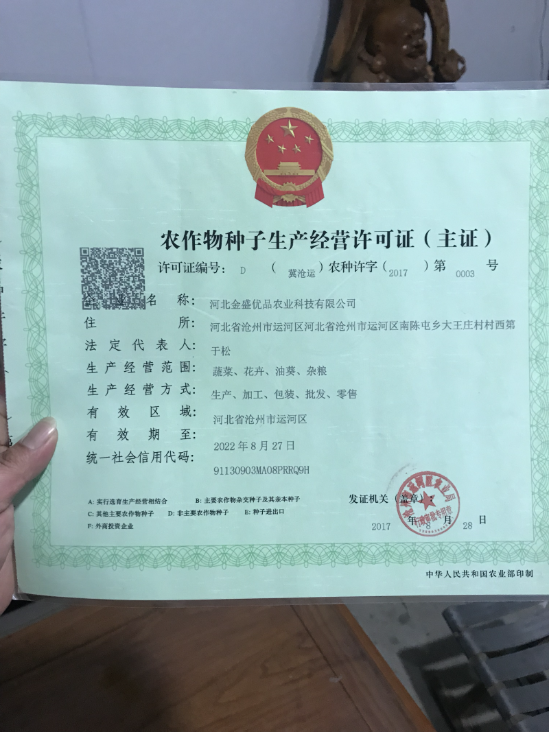 高产抗病杂交全雌荷兰水果黄瓜种子亩产四万斤早翠