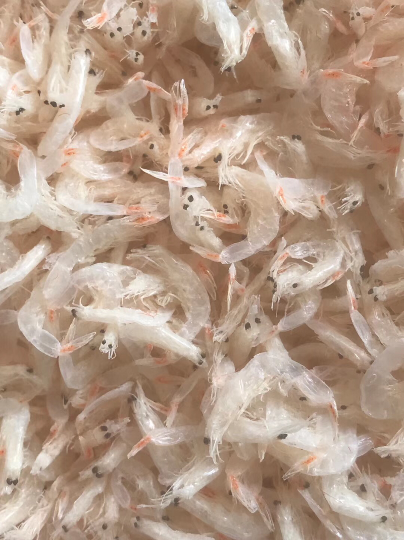 特级虾皮整件十斤批发