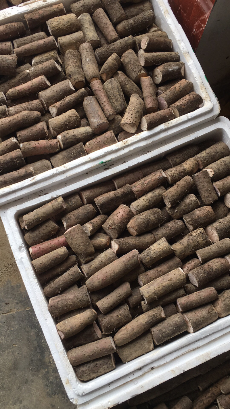 大量优质细叶山药淮山药品质好条形优口感细腻